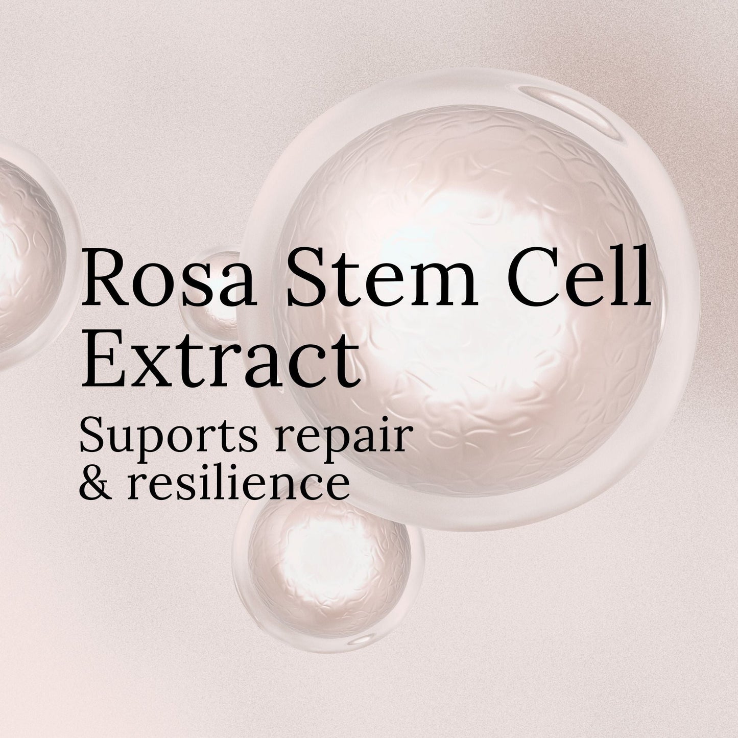 elvis+elvin Rose Revitalizing Treatment Mask 3.0