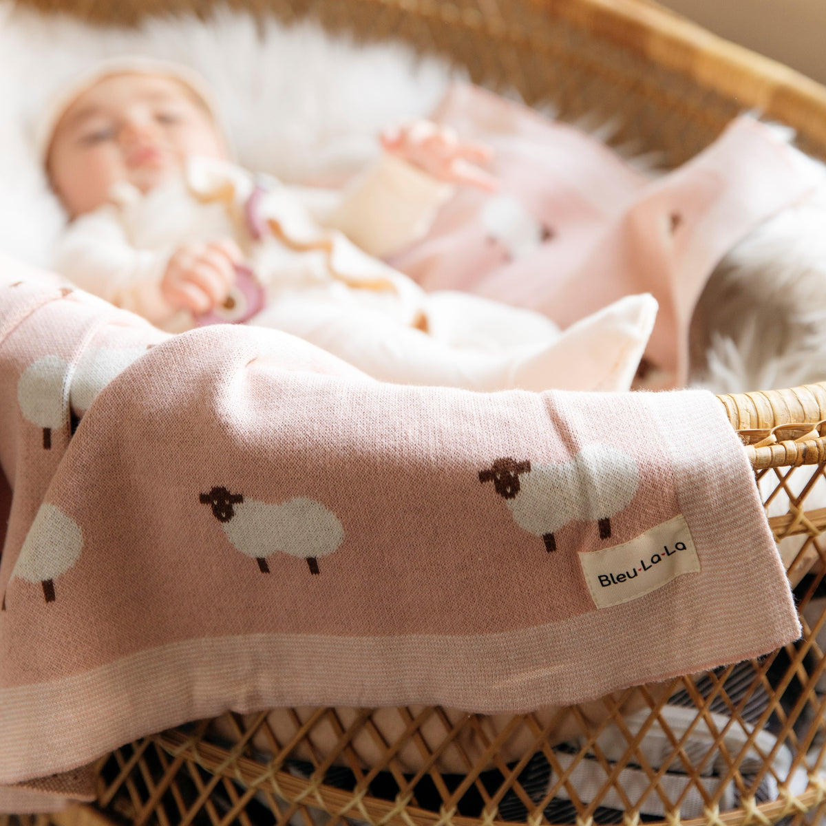 Whimsy Collection - Luxury 100% Cotton Knit Swaddle Baby Blanket