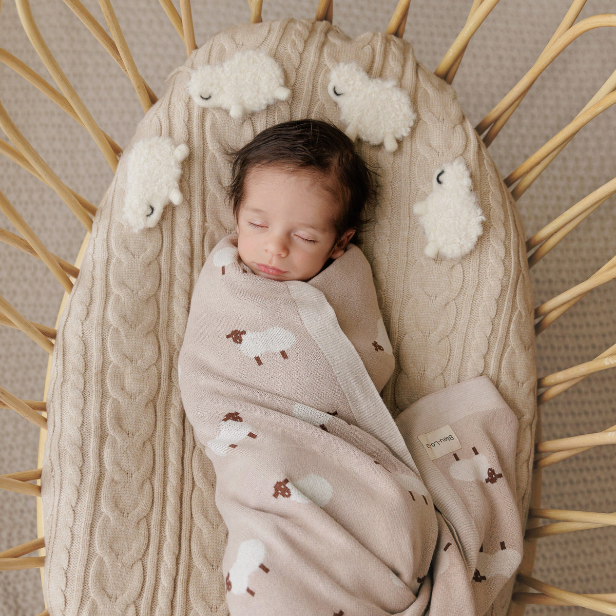 Whimsy Collection - Luxury 100% Cotton Knit Swaddle Baby Blanket