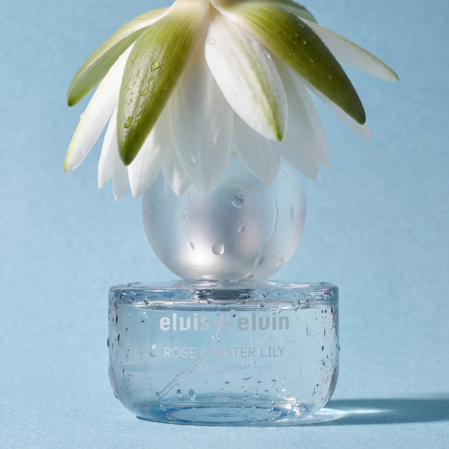 Rose & Water Lily Eau de Parfum – elvis+elvin