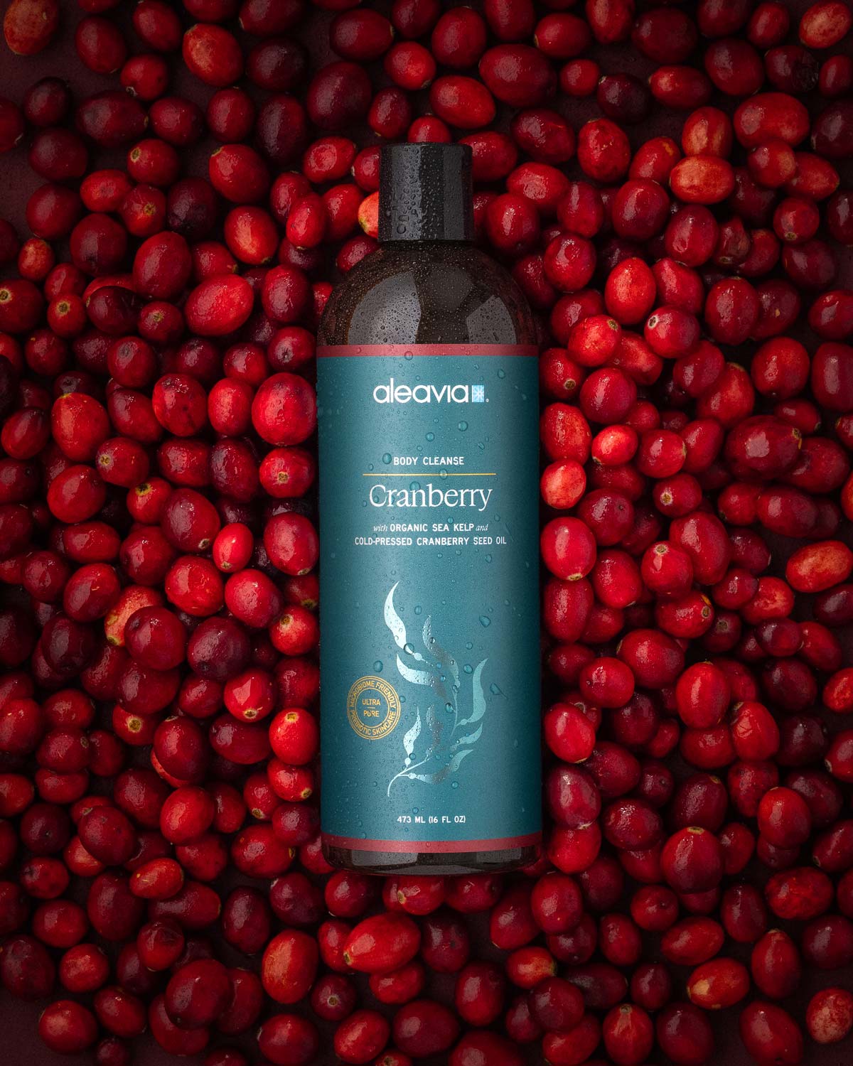 Cranberry Prebiotic Body Cleanse