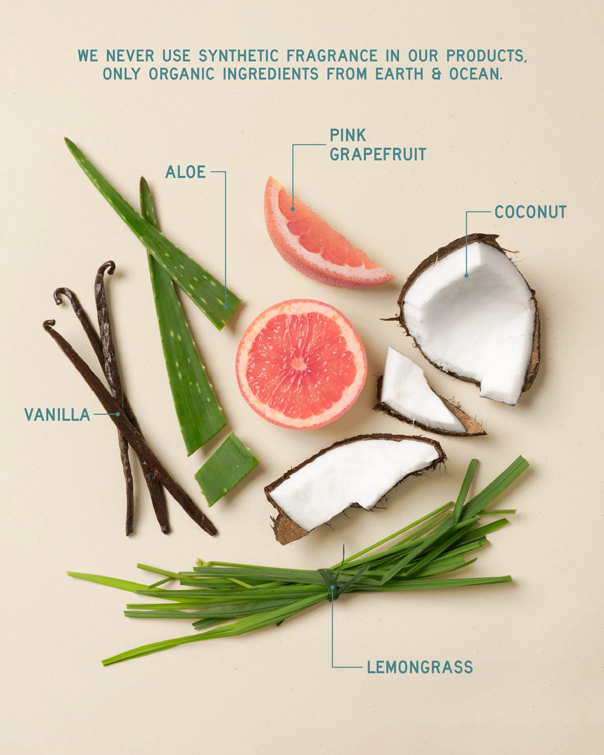 Biome Luxe Prebiotic Shampoo