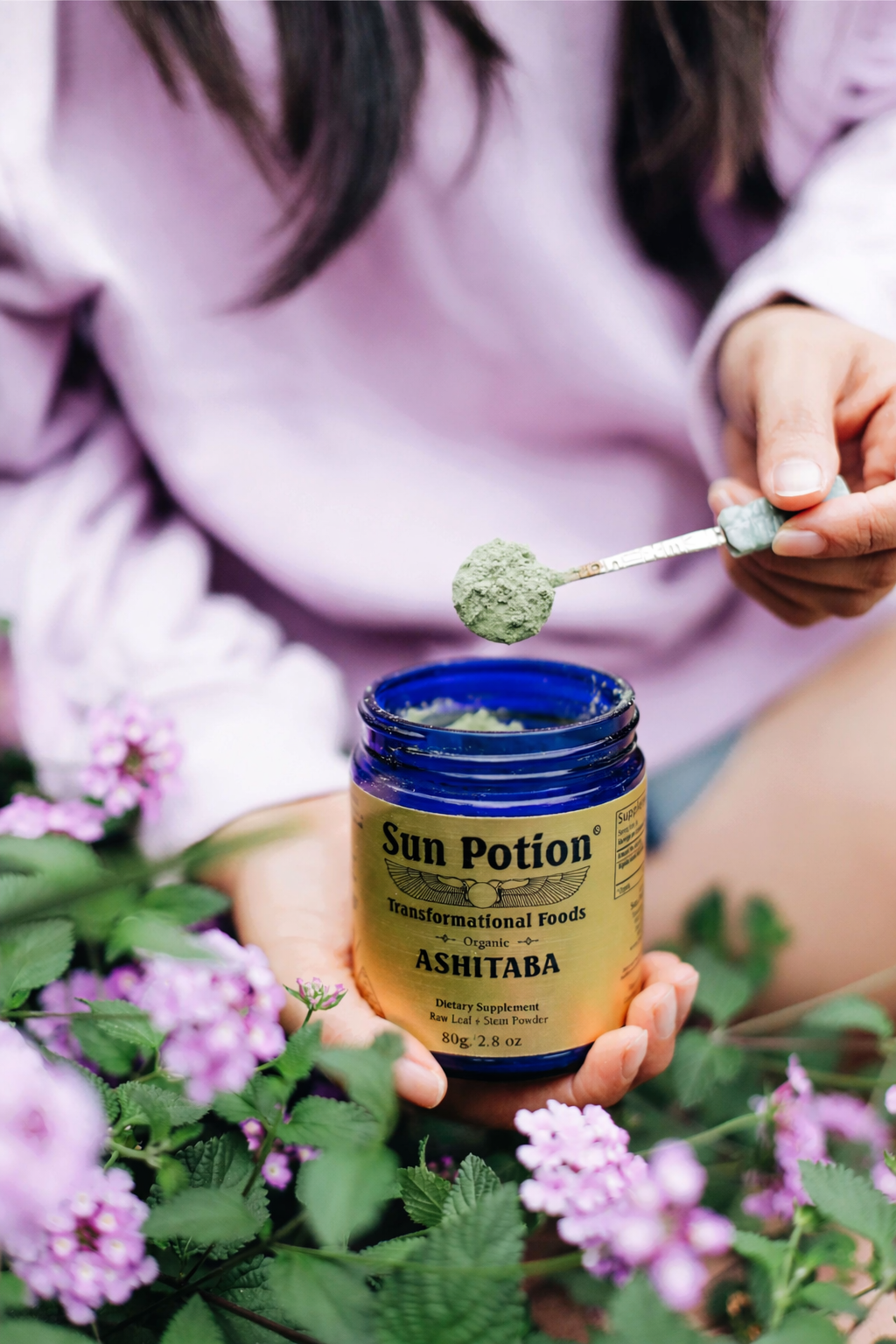 Ashitaba Leaf & Stem Powder (Wild Harvested)