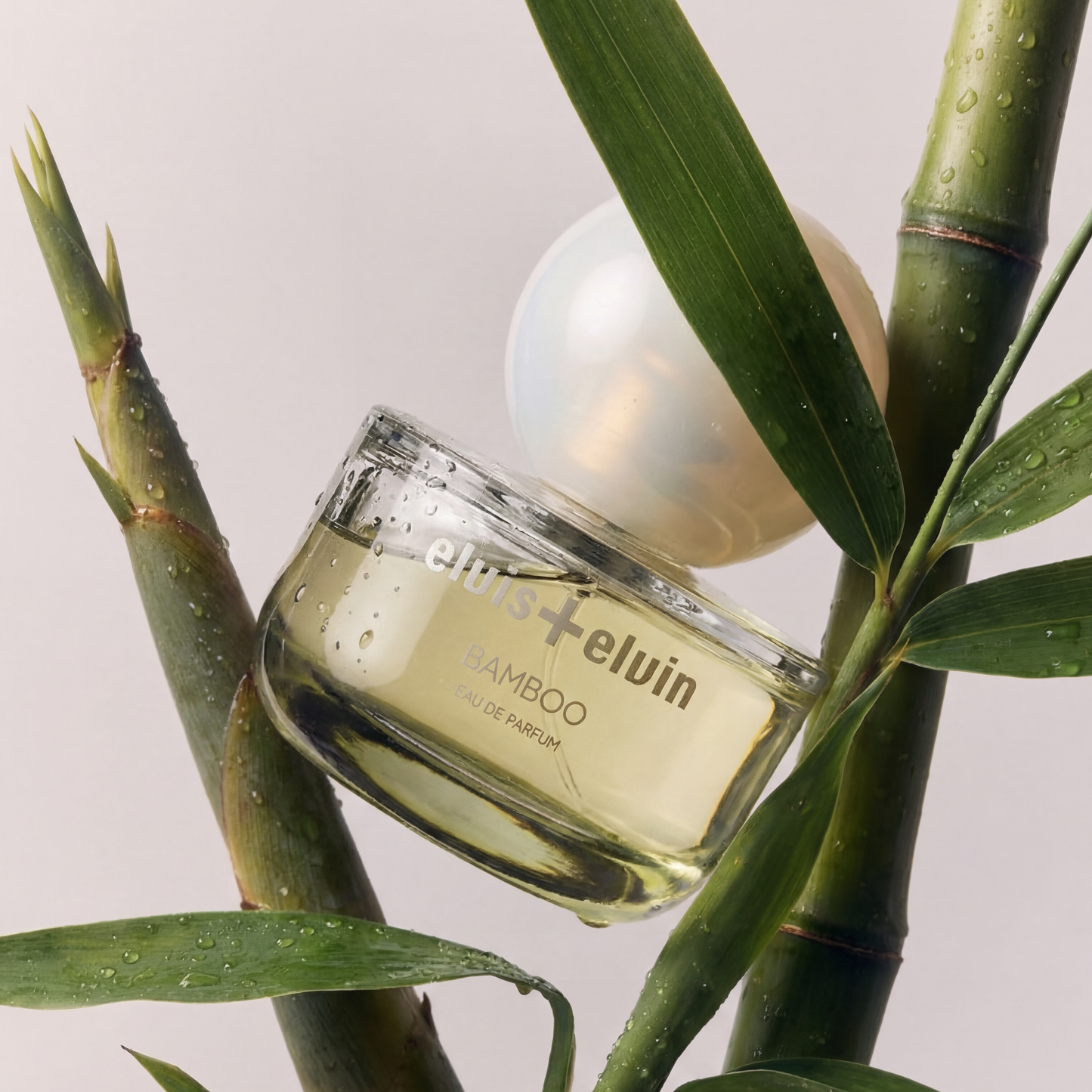 Bamboo Eau de Parfum – elvis+elvin
