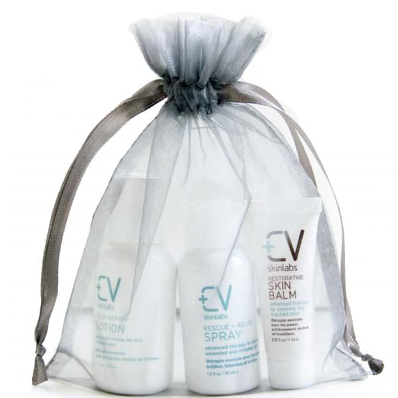 CV Traveler