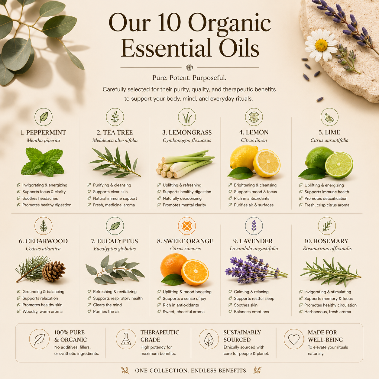 Lemon Essentials Oil