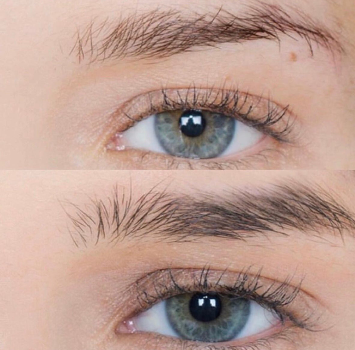 BROWFOOD Brow Enhancing Duo