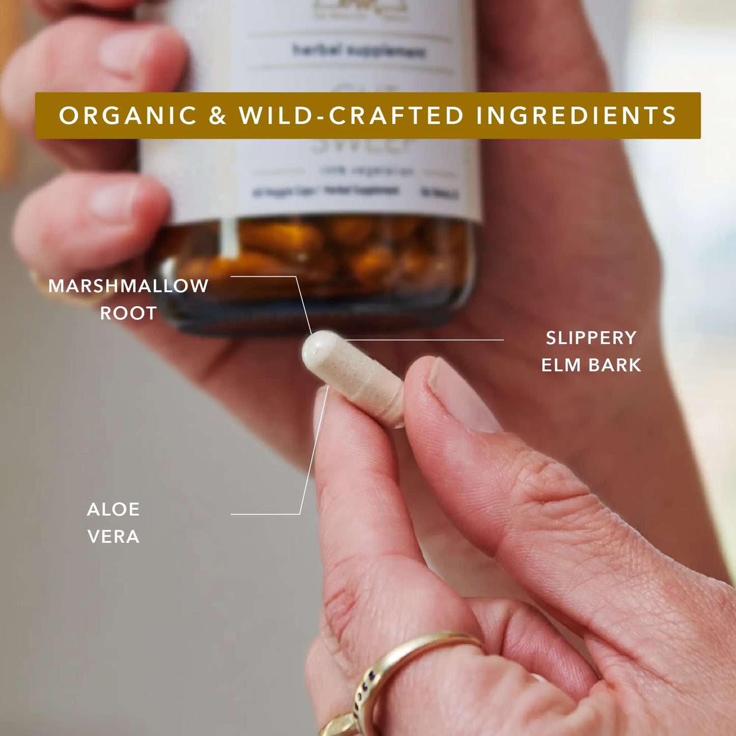 OWL Supplement Kit