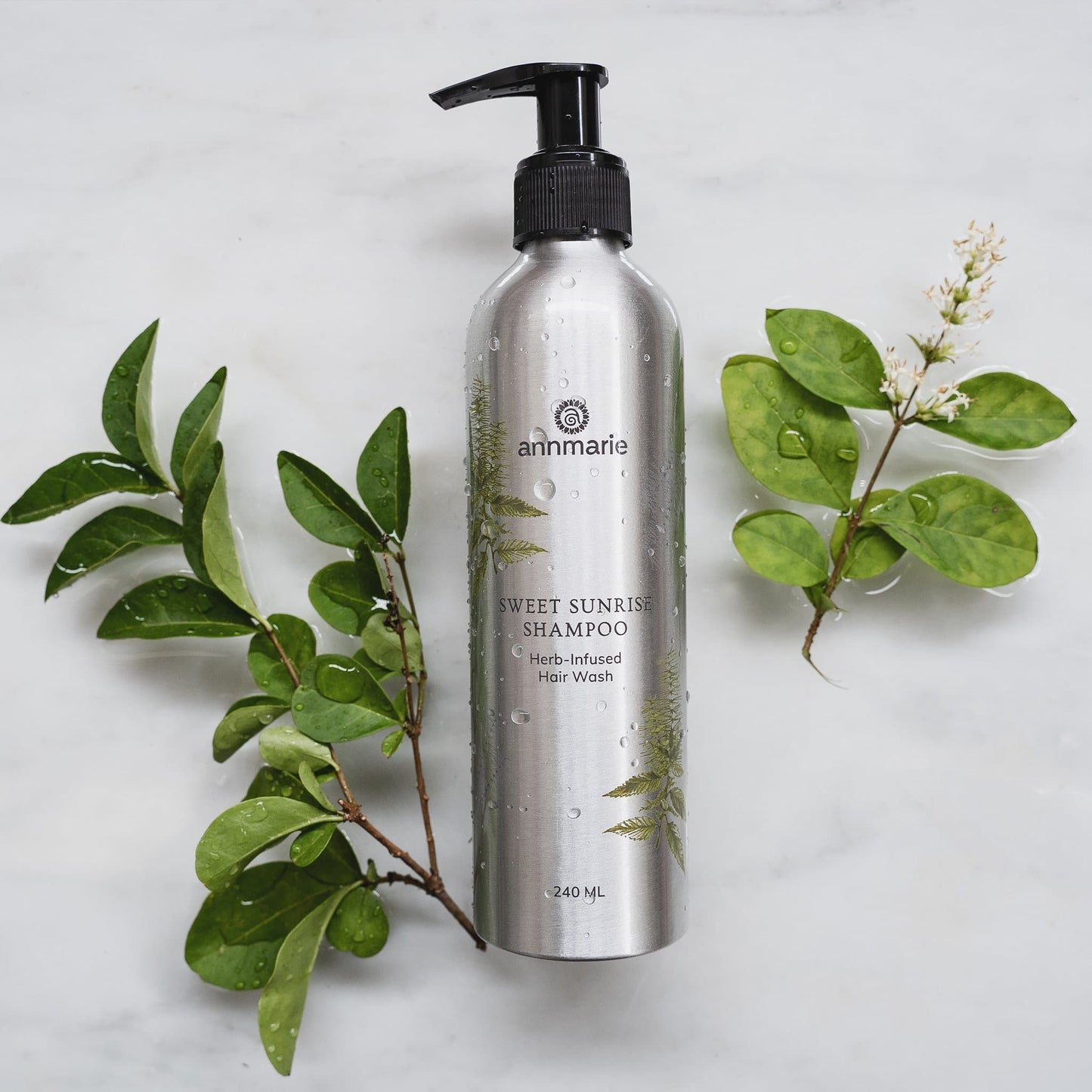 Sweet Sunrise Shampoo (240ml)- Collective