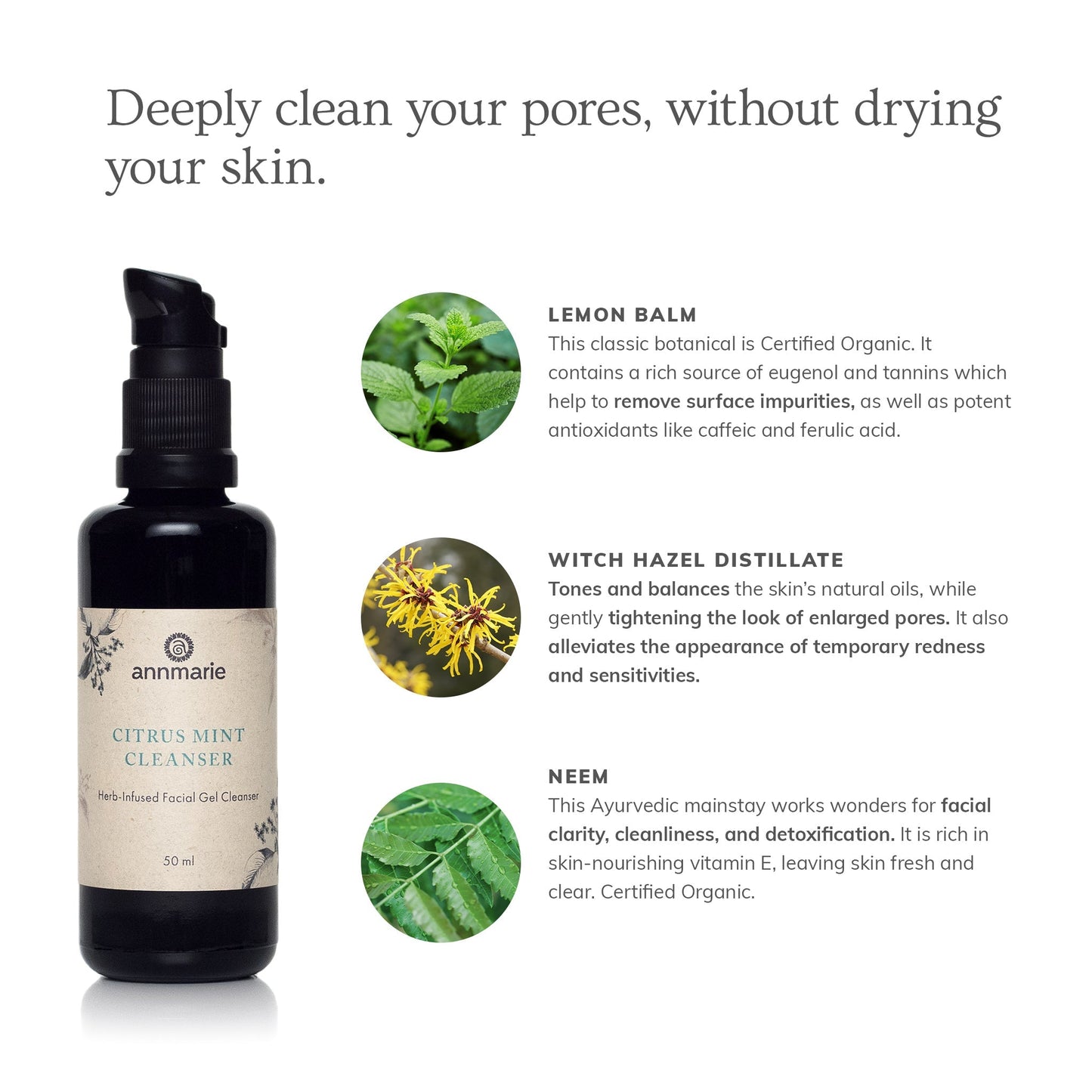 Citrus Mint Cleanser (50ml)- Collective