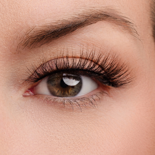 All the Right Moves Lash Style