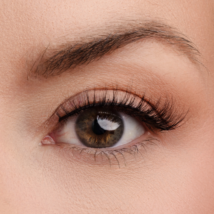Gold Standard Lash Style