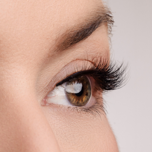 Gold Standard Lash Style