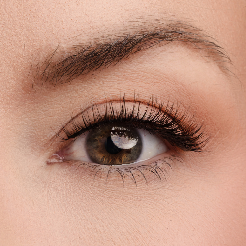 Good as Gold Lash Style
