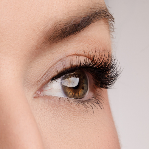 Good as Gold Lash Style