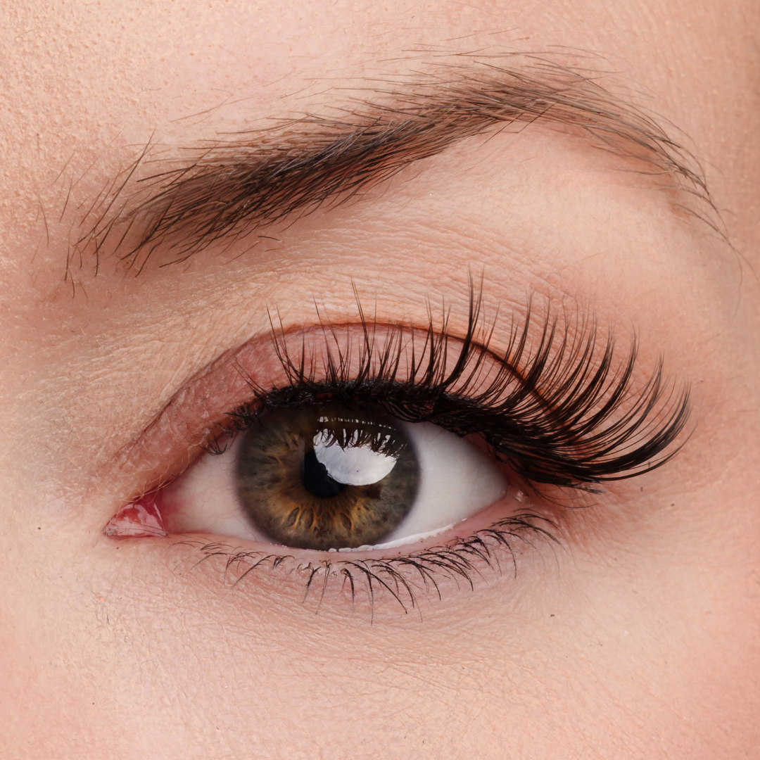 Hold That Thought Half Lash Style
