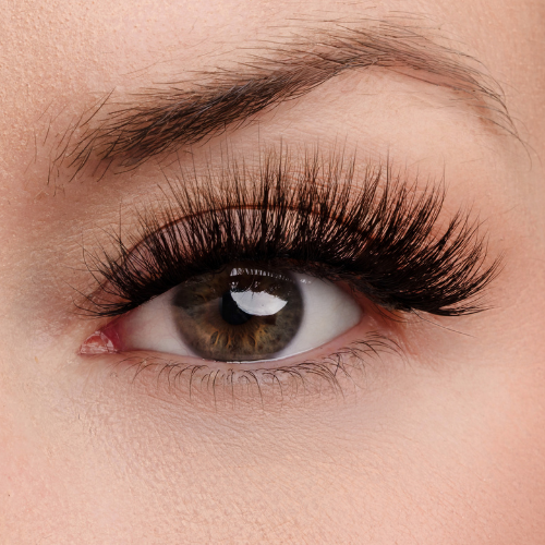 Life on Purpose Lash Style