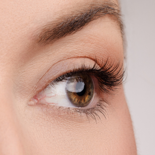 The Real Deal Lash Style