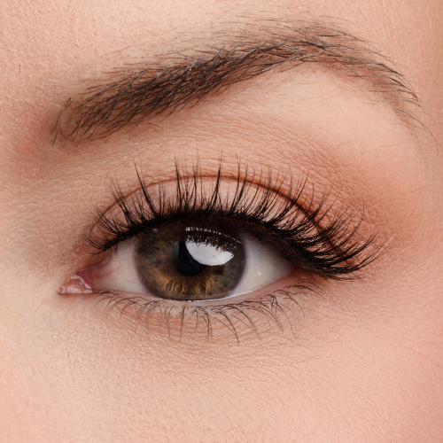 Unwritten Story Lash Style