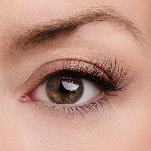 Worth the Wait Half Lash Style
