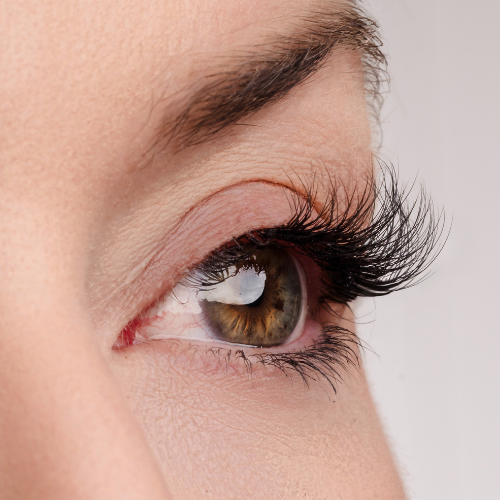 Worth the Wait Half Lash Style