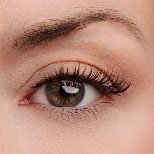 To Be Honest Lash Style