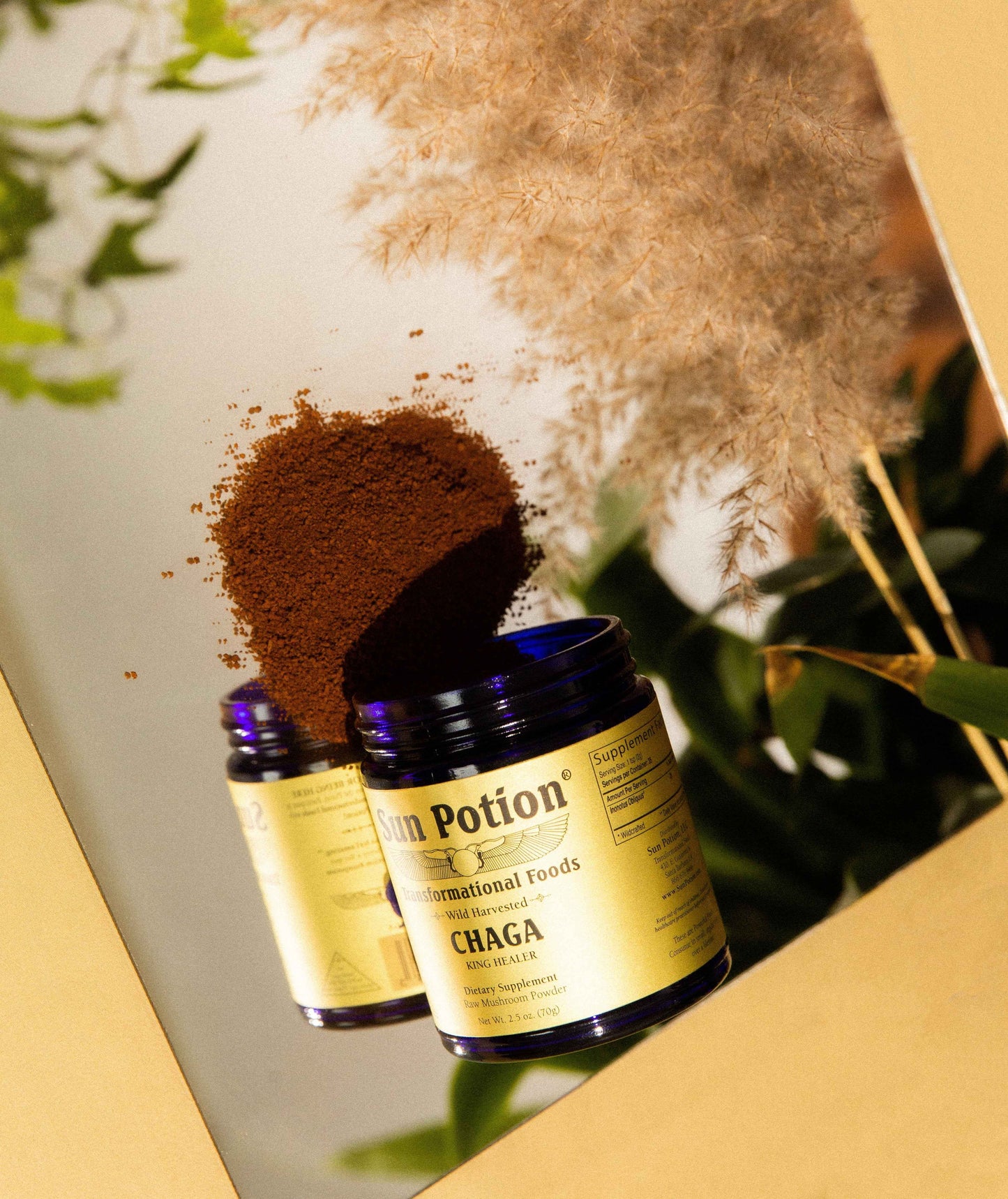 Chaga Mushroom Powder (Wildcrafted)
