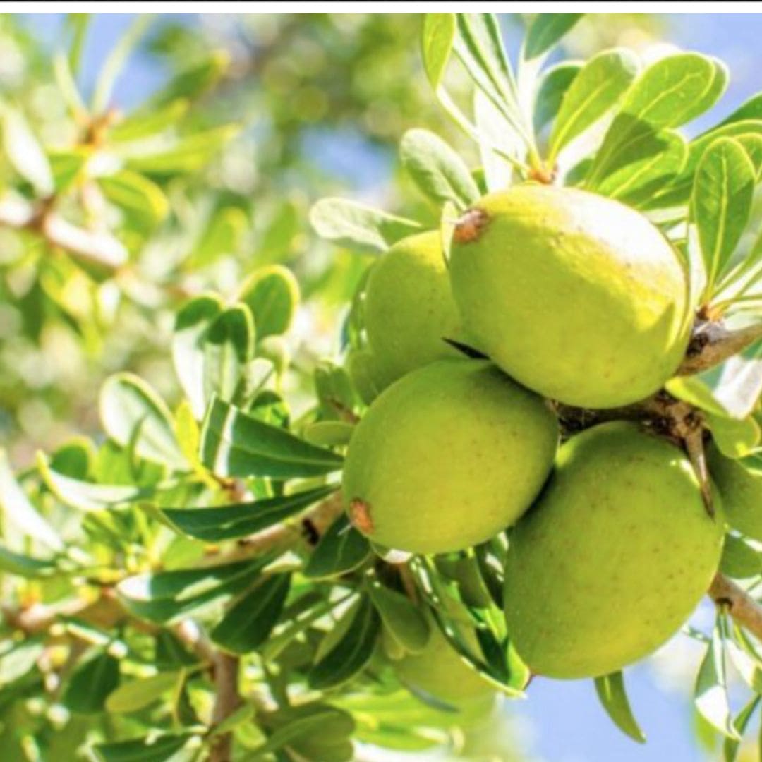 WOO™ Argan Oil, 100% Organic