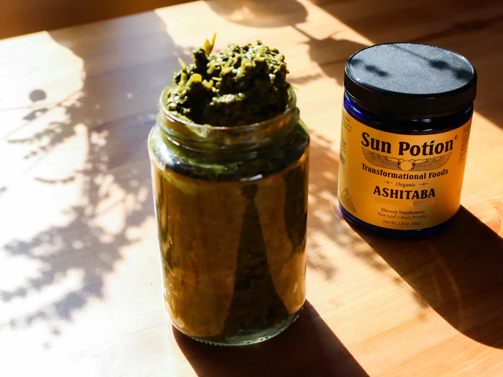 Ashitaba Leaf & Stem Powder (Wild Harvested)