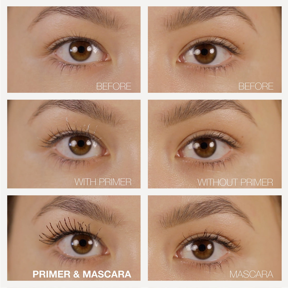 LASH-AID Set