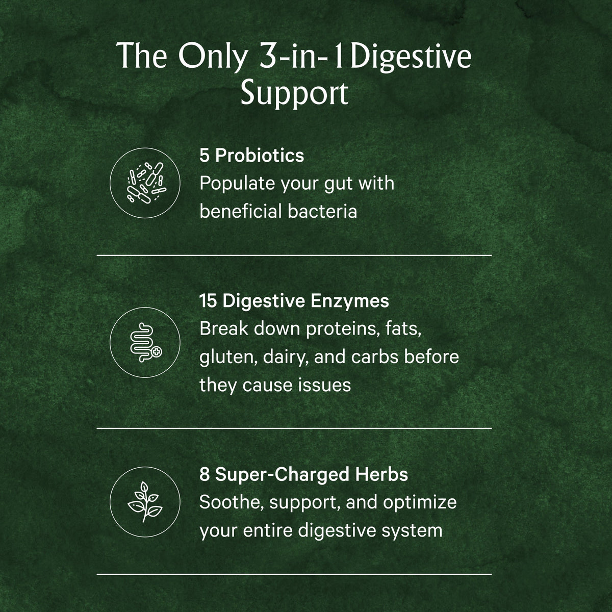 Digestive Enzymes