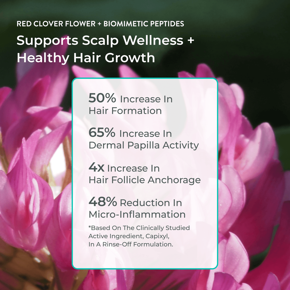 RootBoost Serum