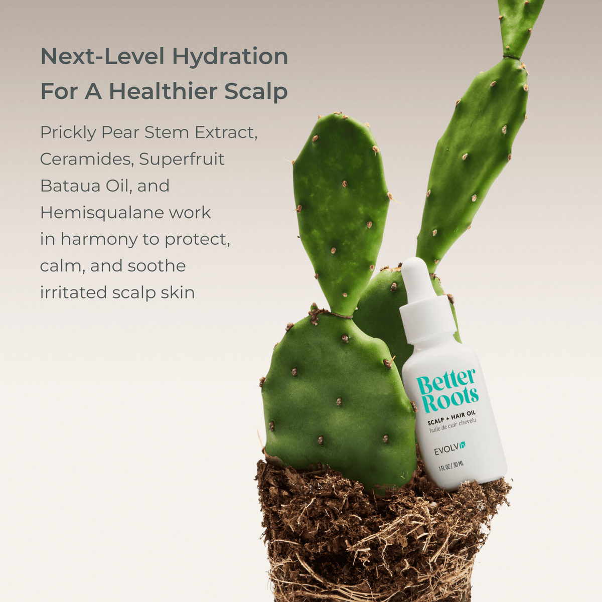 Scalp + Hair Oil