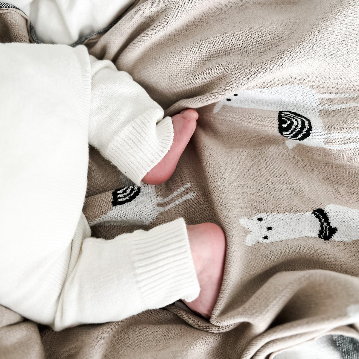 Whimsy Collection - Luxury 100% Cotton Knit Swaddle Baby Blanket