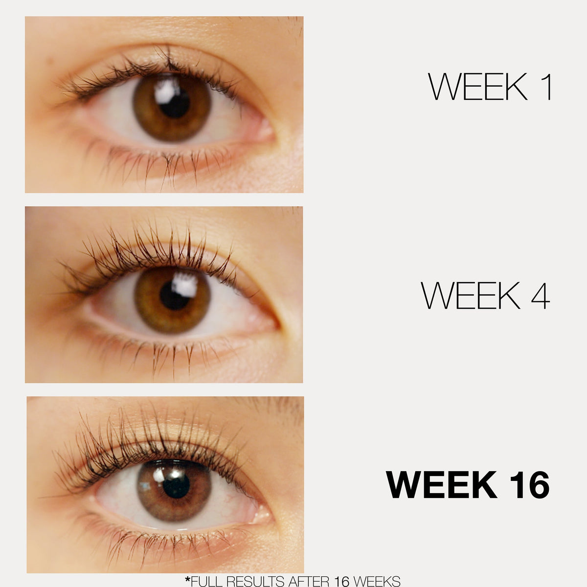 Lash & Brow Treats Duo