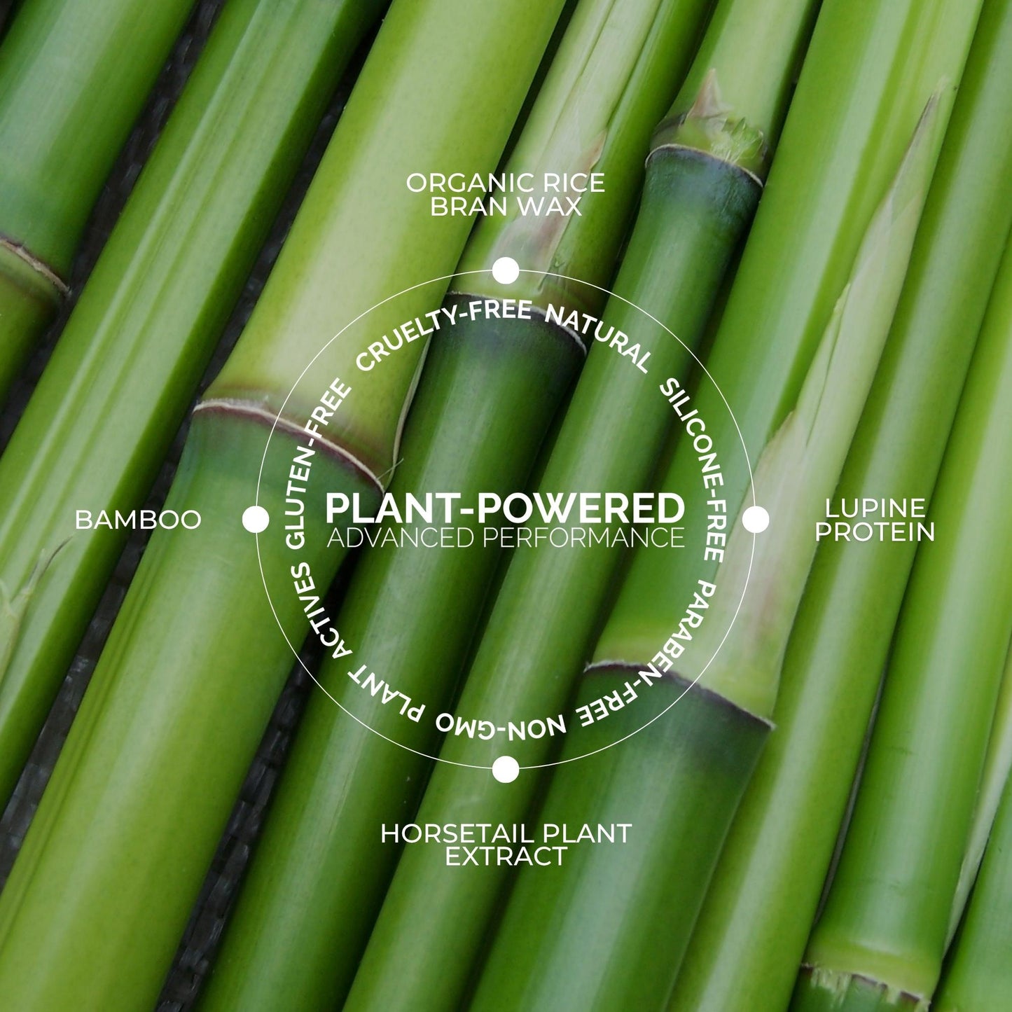 Plant Protein Brow Gel