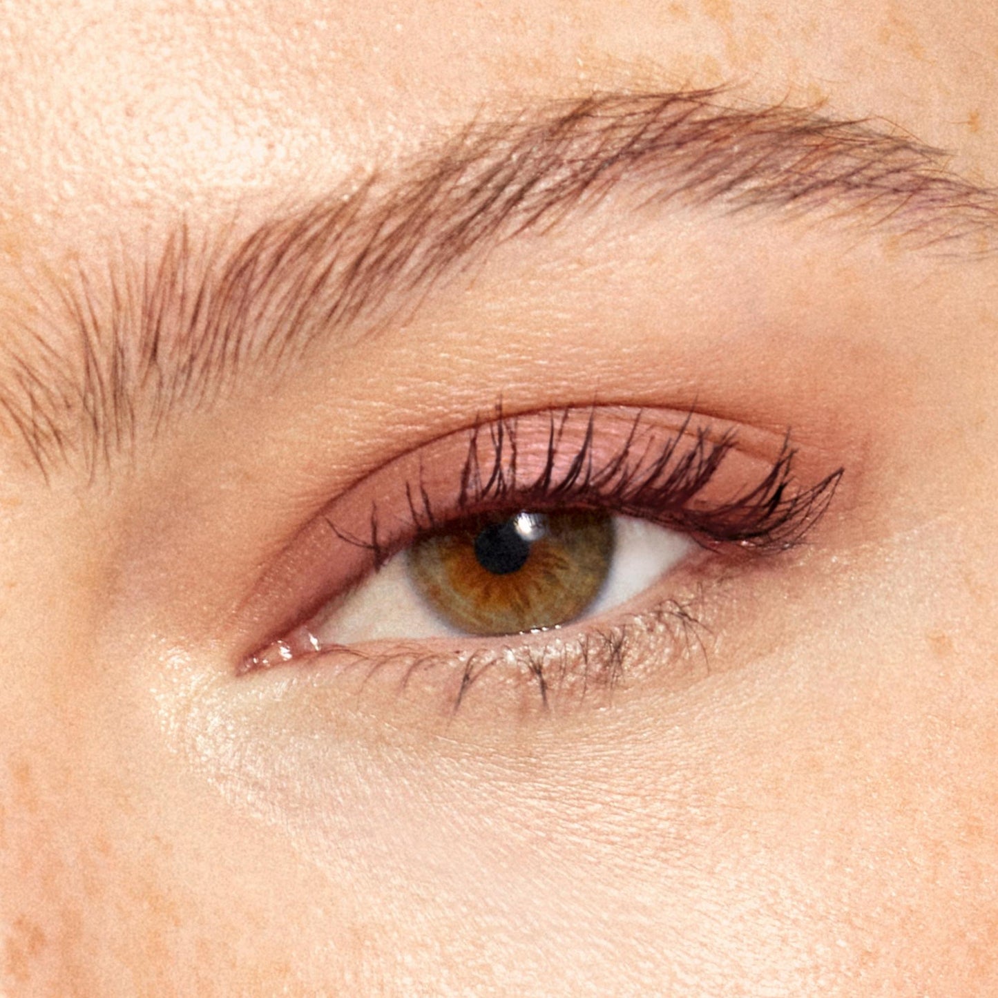 Multi-Use Pressed + Cream Colour