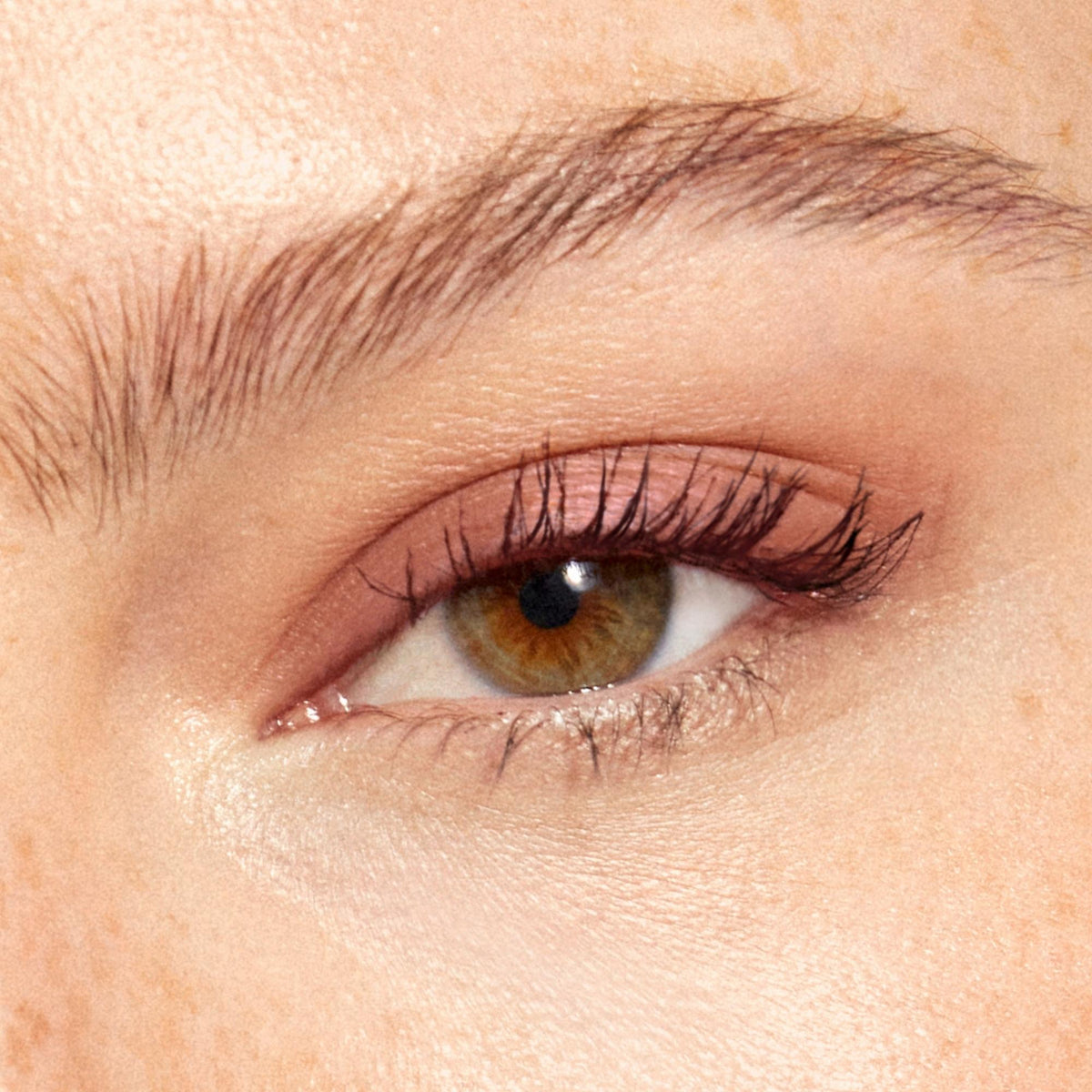 Multi-Use Pressed + Cream Colour