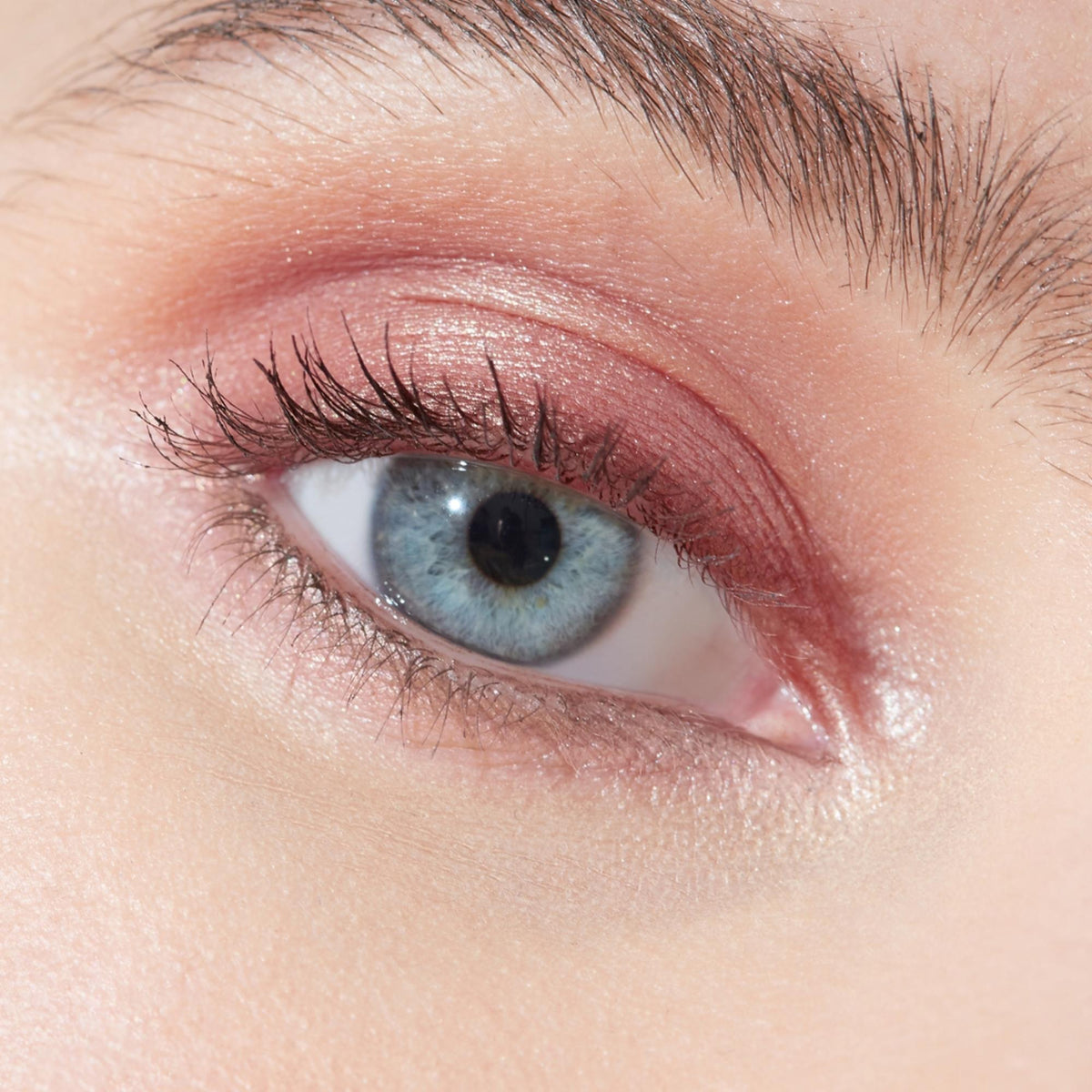 Multi-Use Pressed + Cream Colour