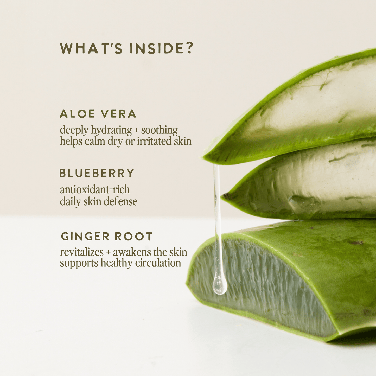 Aloe-Based Body Cleanser